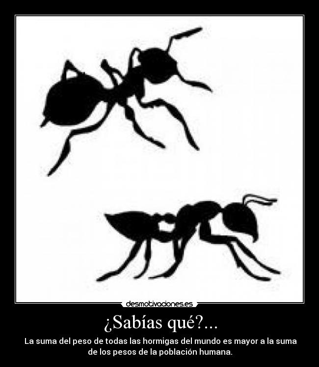 ¿Sabías qué?... -  La suma del peso de todas las hormigas del mundo es mayor a la suma
de los pesos de la población humana.