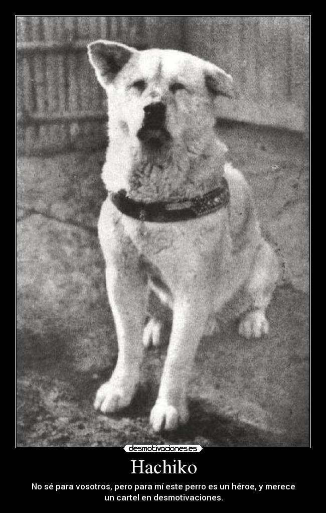 Hachiko - No sé para vosotros, pero para mí este perro es un héroe, y merece
un cartel en desmotivaciones.