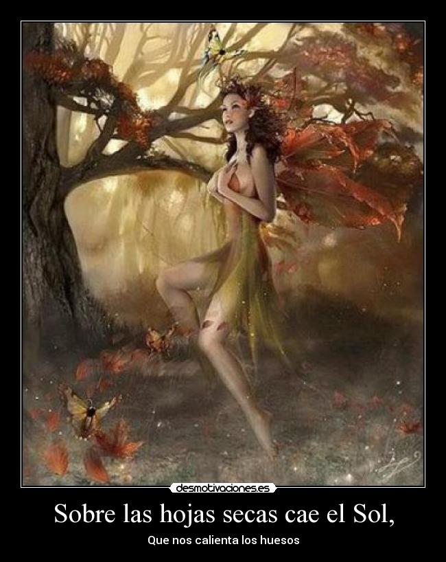 Sobre las hojas secas cae el Sol, -