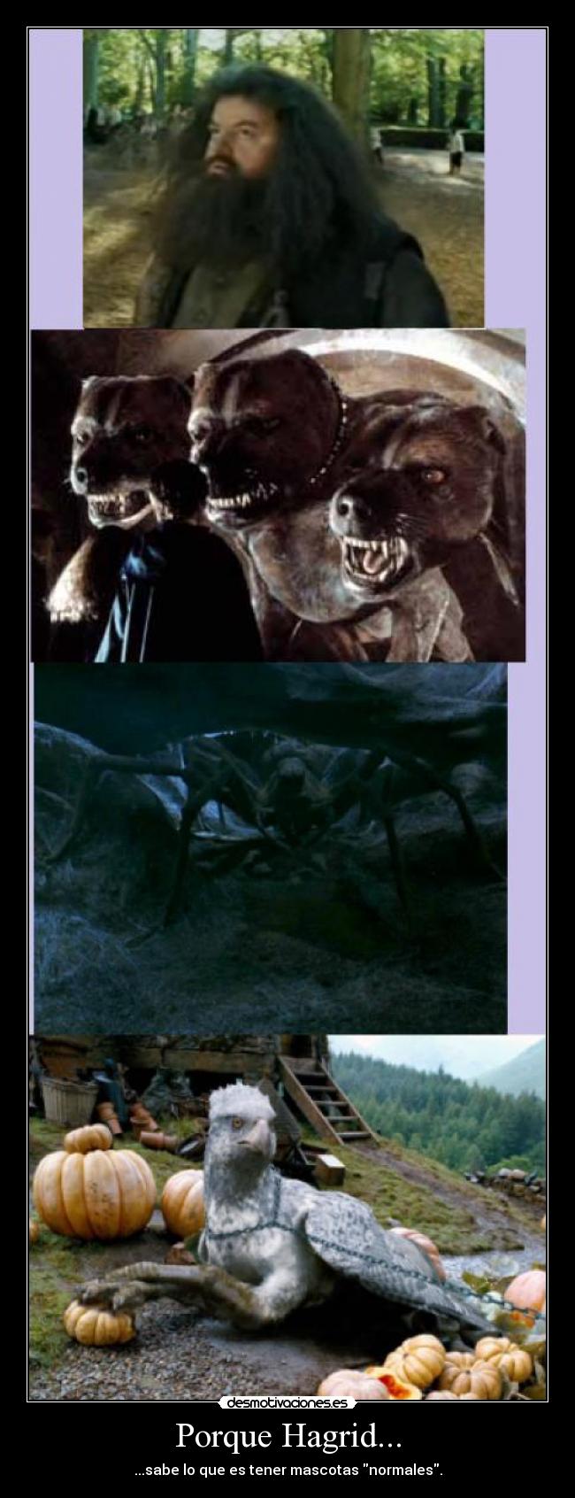 Porque Hagrid... -