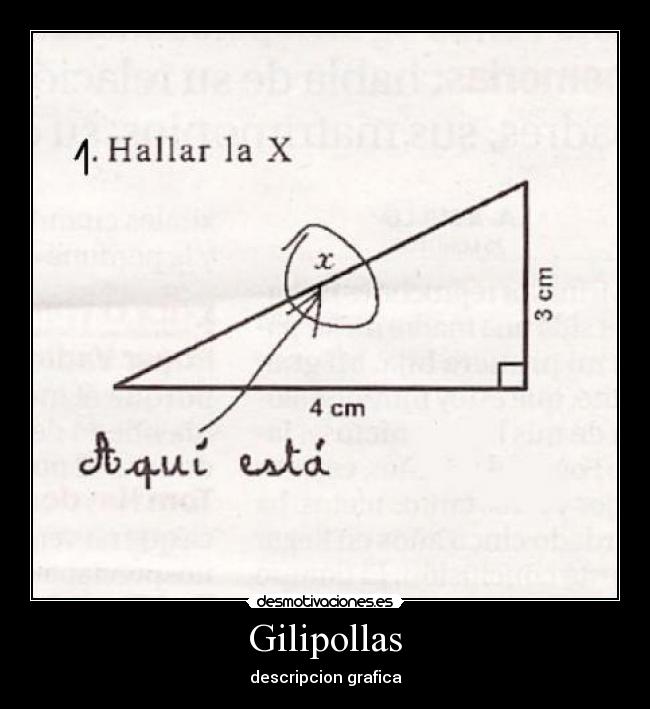 Gilipollas - descripcion grafica