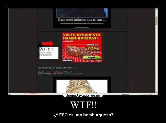 WTF!! - ¿Y ESO es una hamburguesa?