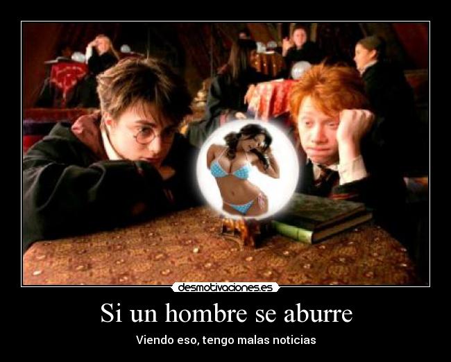 carteles harry desmotivaciones