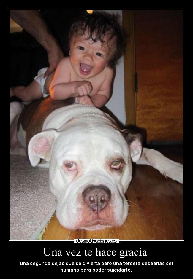 carteles perro desmotivaciones