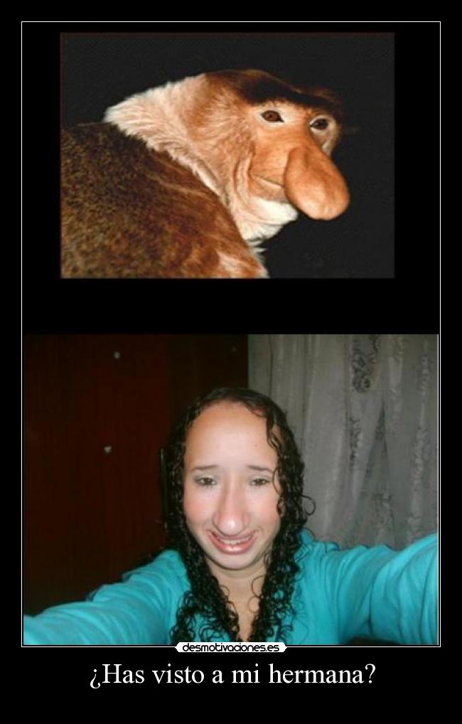 ¿Has visto a mi hermana? - 