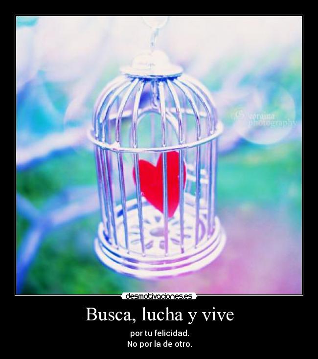 Busca, lucha y vive -