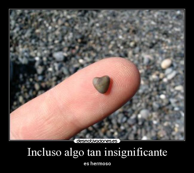 carteles hermoso insignificante desmotivaciones