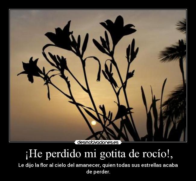 ¡He perdido mi gotita de rocío!, -