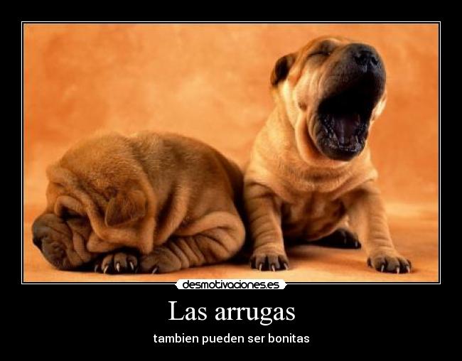 Las arrugas -