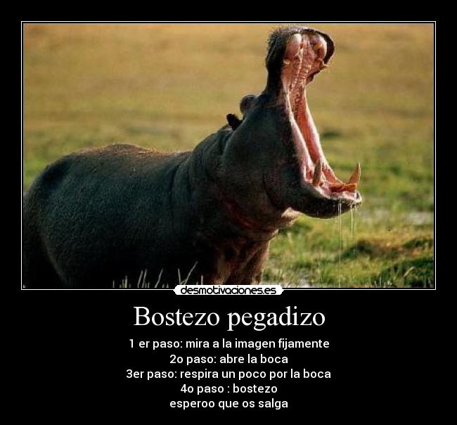 Bostezo pegadizo - 1 er paso: mira a la imagen fijamente
2o paso: abre la boca
3er paso: respira un poco por la boca
4o paso : bostezo
esperoo que os salga