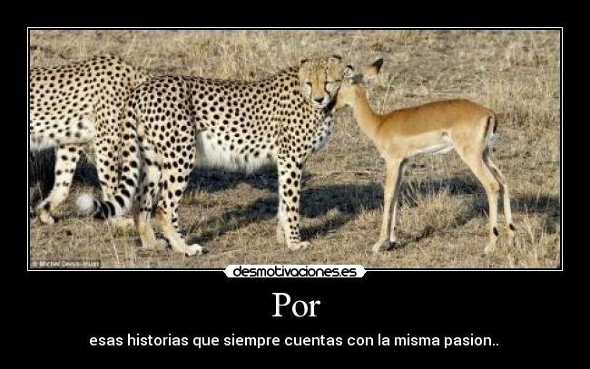 Por - esas historias que siempre cuentas con la misma pasion..