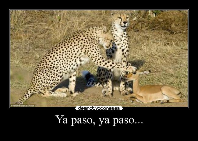 Ya paso, ya paso... - 