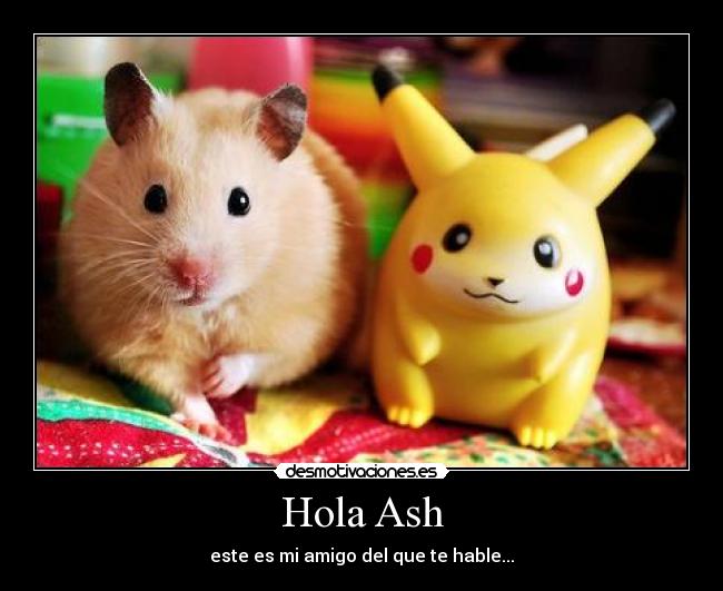 Hola Ash - este es mi amigo del que te hable...