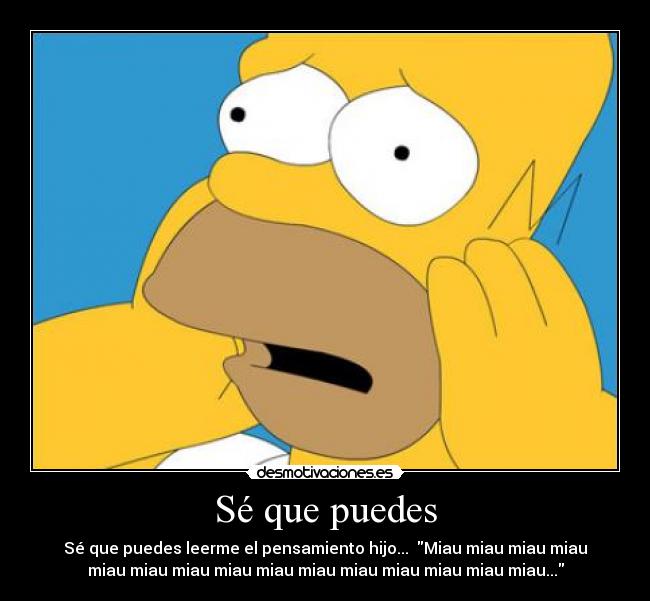 Sé que puedes - Sé que puedes leerme el pensamiento hijo... Miau miau miau miau
miau miau miau miau miau miau miau miau miau miau miau...
