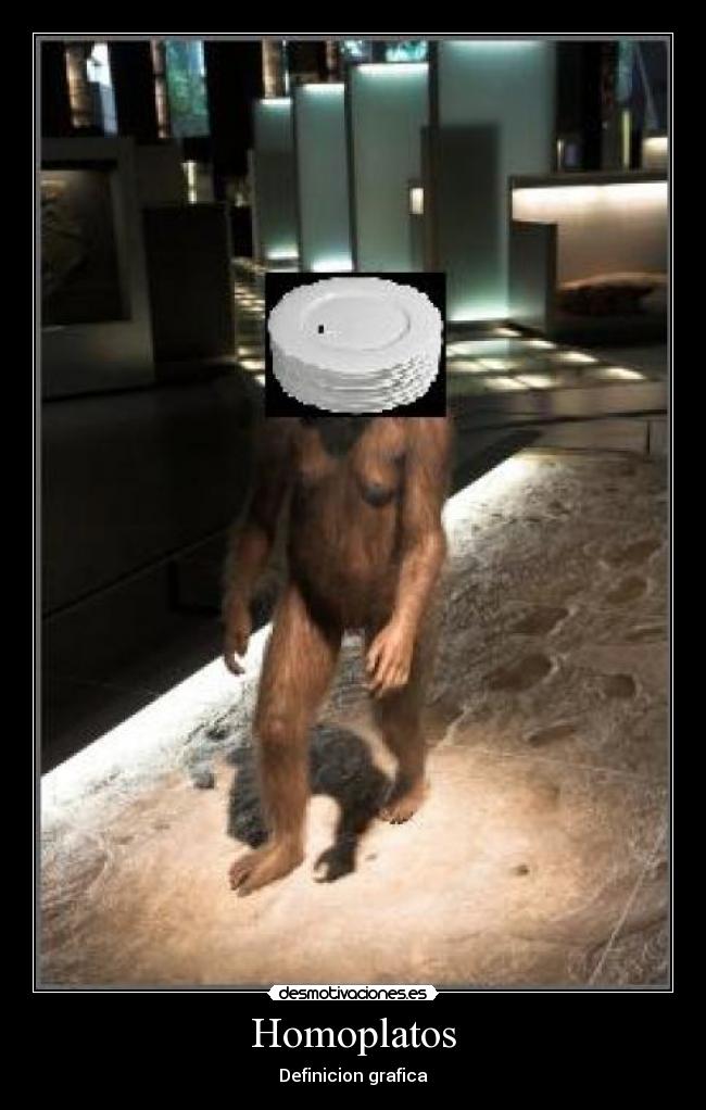 Homoplatos - Definicion grafica