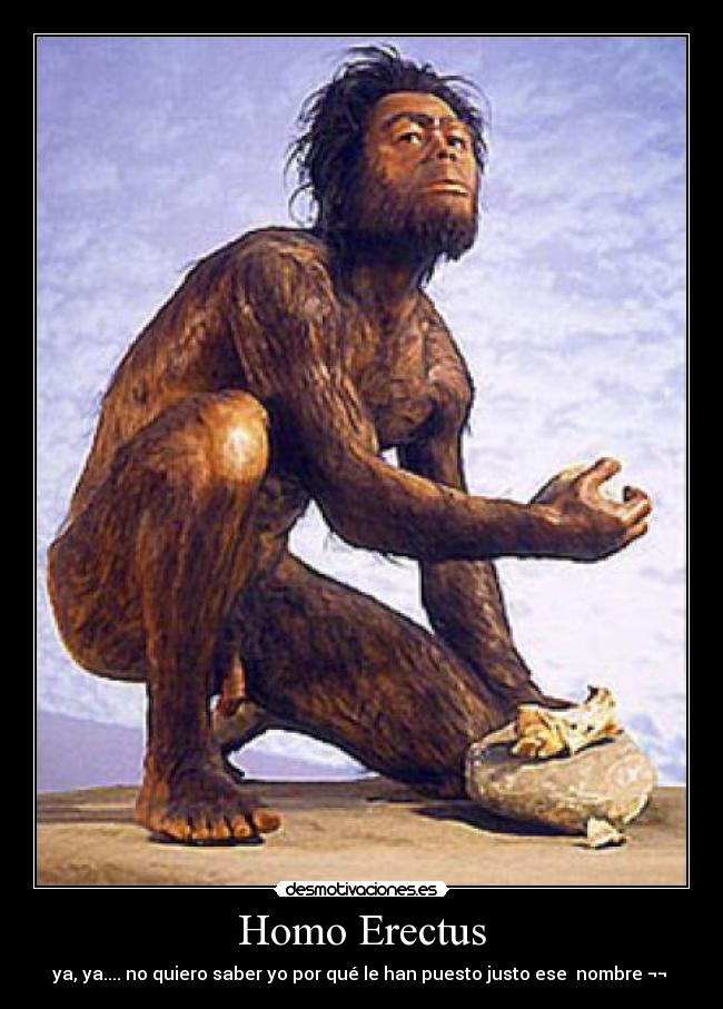 Homo Erectus - ya, ya.... no quiero saber yo por qué le han puesto justo ese nombre ¬¬