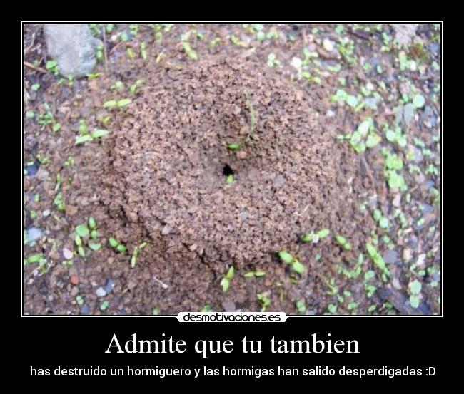 Admite que tu tambien - has destruido un hormiguero y las hormigas han salido desperdigadas :D