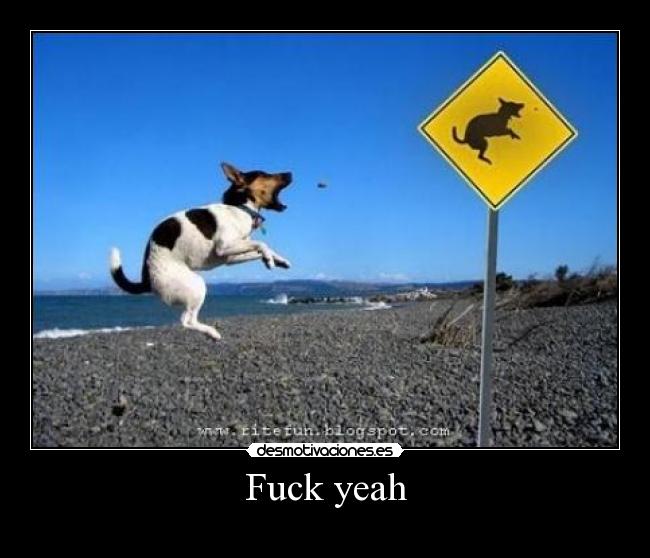 carteles fuck yeah desmotivaciones