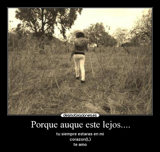 carteles quiiero desmotivaciones