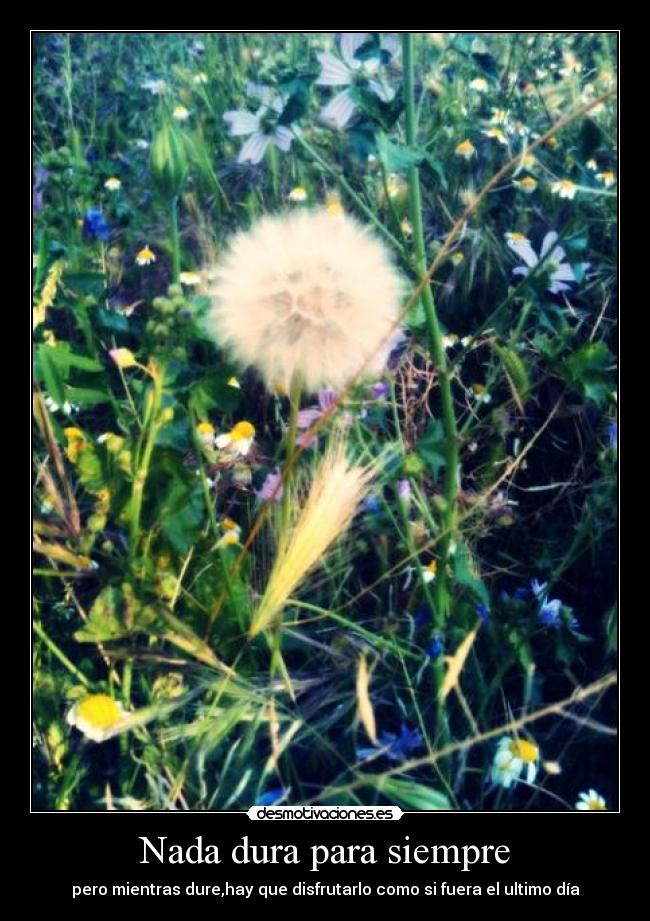 Nada dura para siempre - 