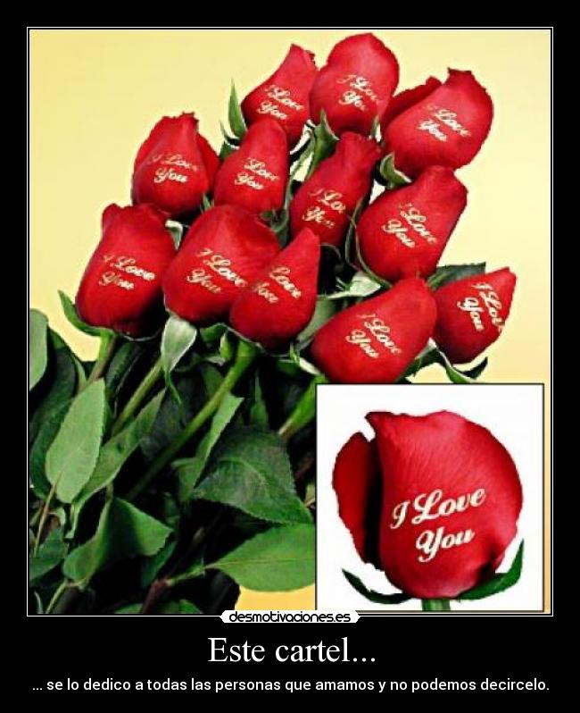 Este cartel... - ... se lo dedico a todas las personas que amamos y no podemos decircelo.
