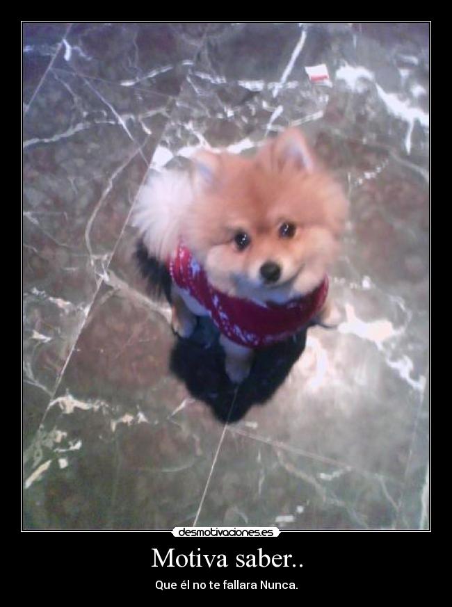Motiva saber.. - Que él no te fallara Nunca.