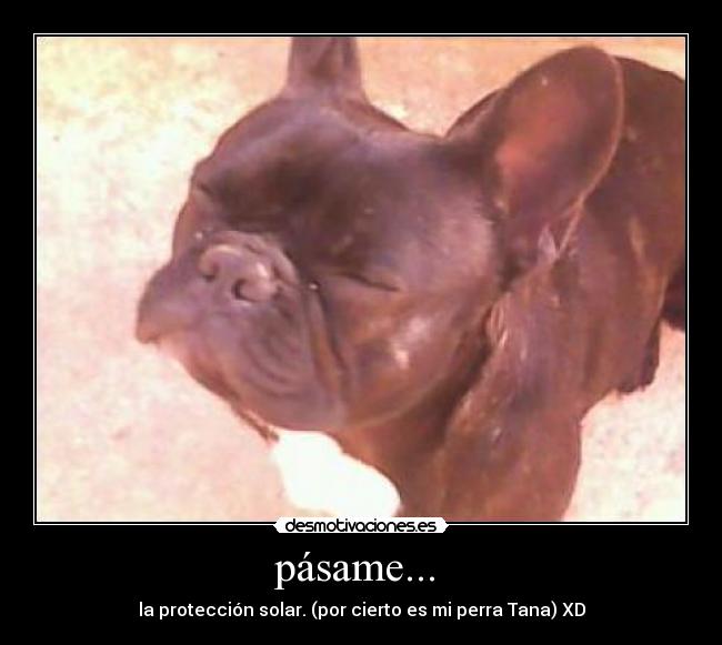 pásame...  - 