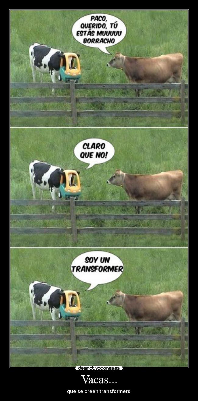 carteles vaca desmotivaciones