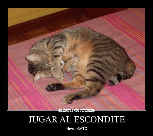 JUGAR AL ESCONDITE - Nivel: GATO