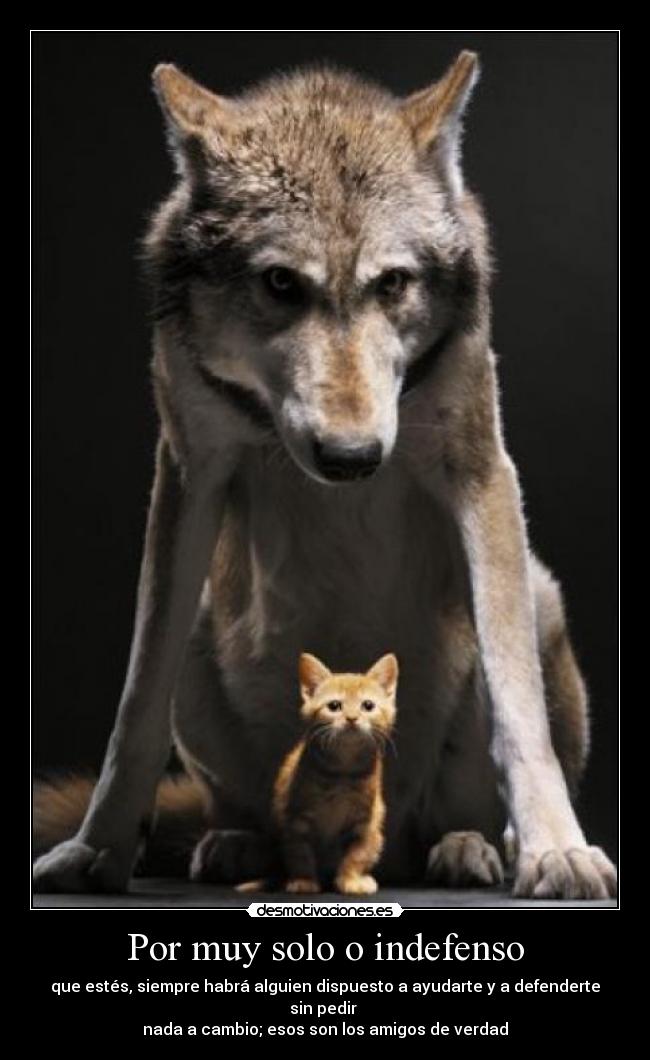 Por muy solo o indefenso -