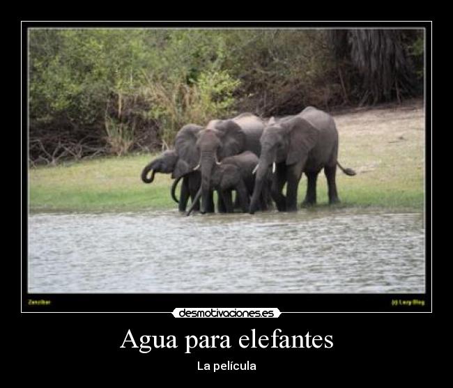 Agua para elefantes - La película