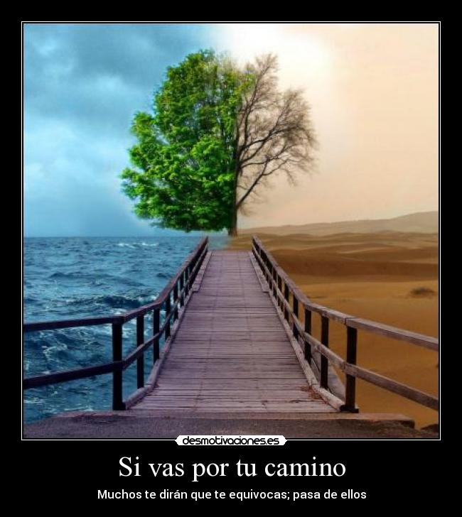 Si vas por tu camino - 