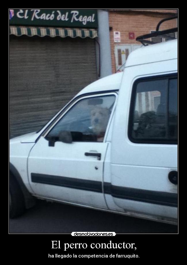 El perro conductor, -