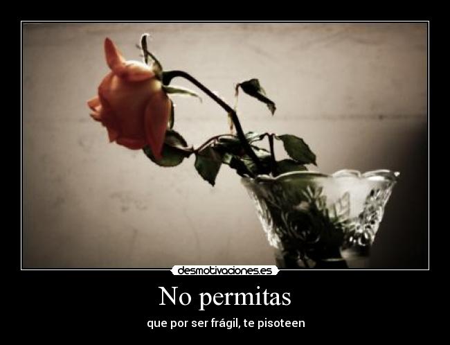 No permitas - 