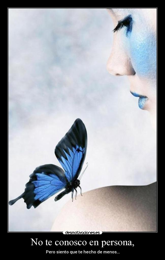 No te conosco en persona, - Pero siento que te hecho de menos...