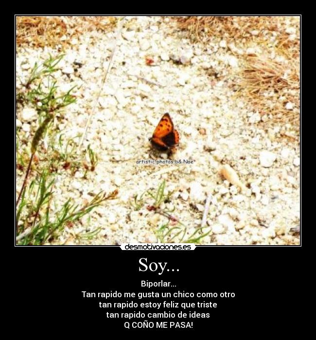 Soy... - Biporlar...
Tan rapido me gusta un chico como otro
tan rapido estoy feliz que triste
tan rapido cambio de ideas
Q COÑO ME PASA!