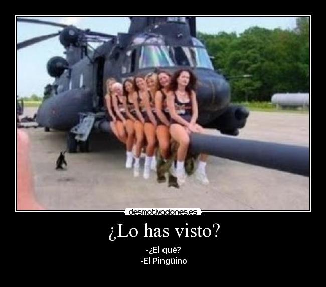 ¿Lo has visto? - -¿El qué?
-El Pingüino