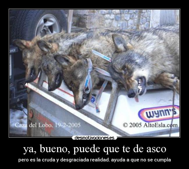 ya, bueno, puede que te de asco - pero es la cruda y desgraciada realidad. ayuda a que no se cumpla