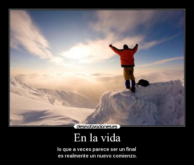 carteles vida vida desmotivaciones