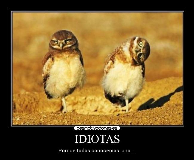 IDIOTAS -