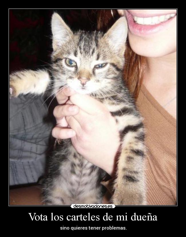 Vota los carteles de mi dueña - 