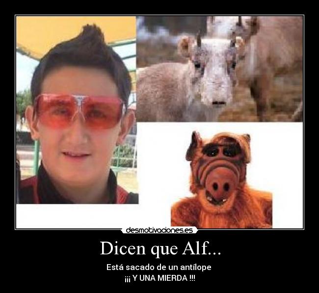 Dicen que Alf... -