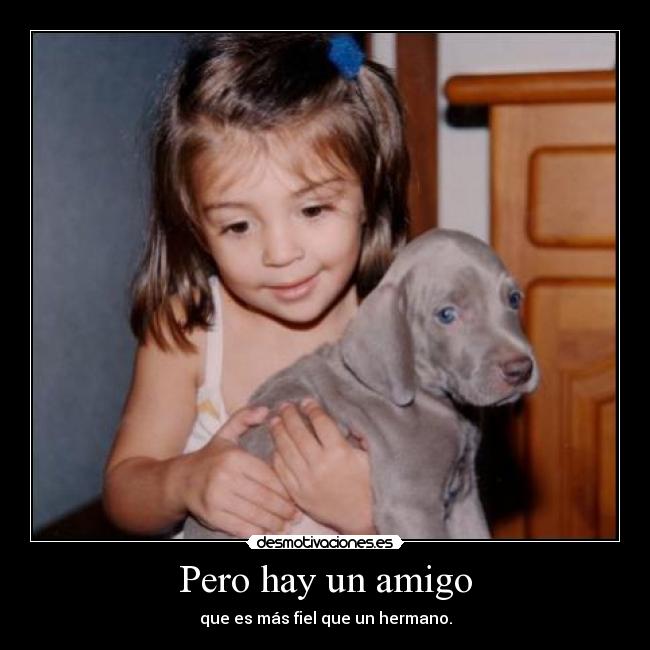 carteles amigo fiel hermano perro nina weimaraner cachorro proberbio desmotivaciones