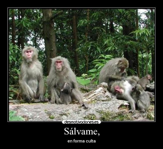 Sálvame, - en forma culta