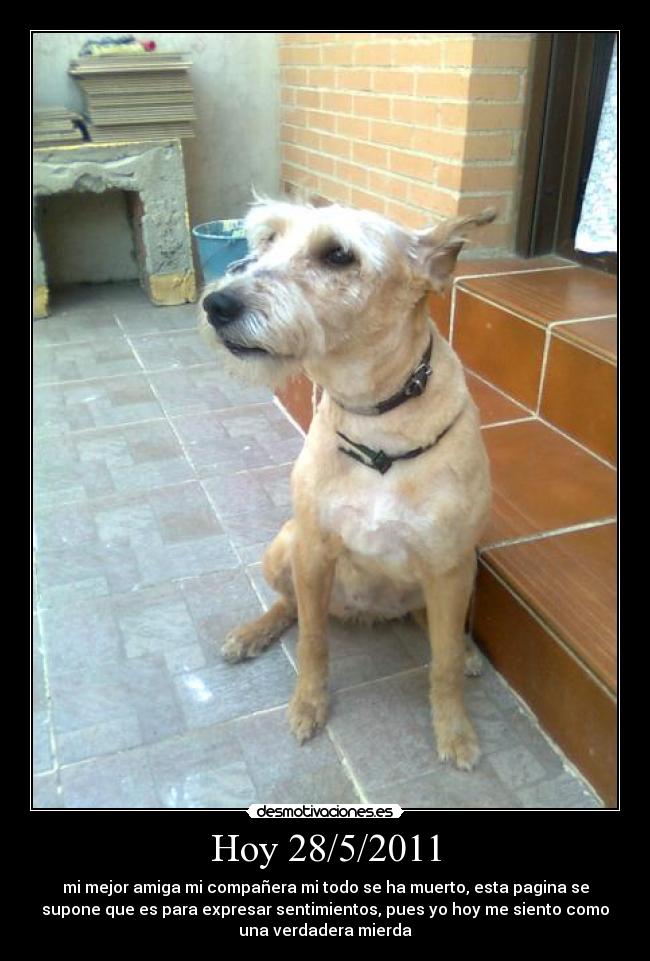 Hoy 28/5/2011 - 