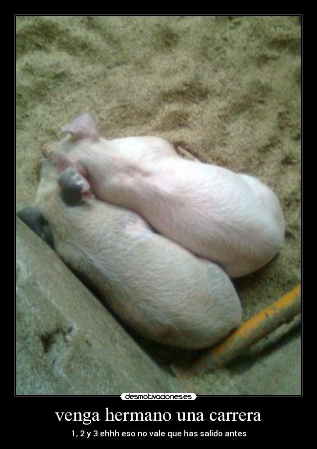 venga hermano una carrera - 1, 2 y 3 ehhh eso no vale que has salido antes