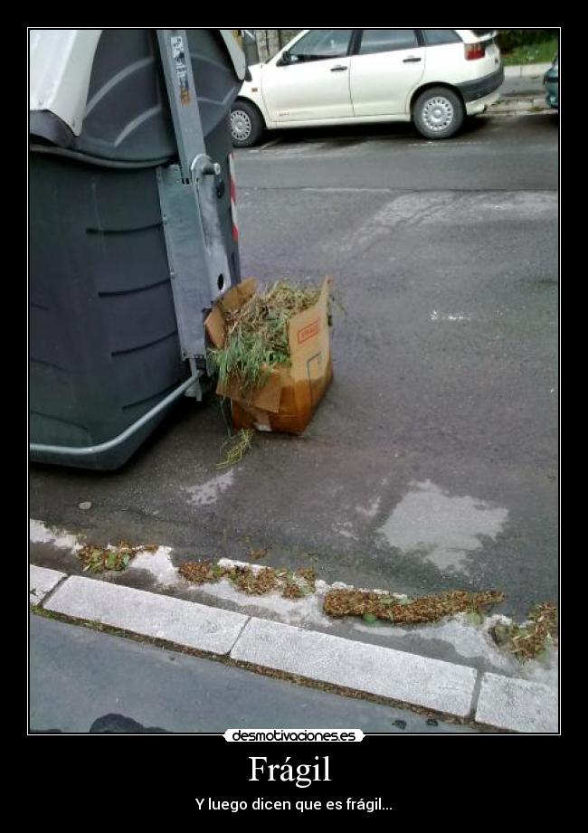Frágil  - 