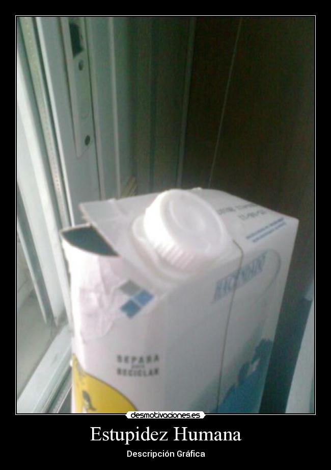 Estupidez Humana - Descripción Gráfica