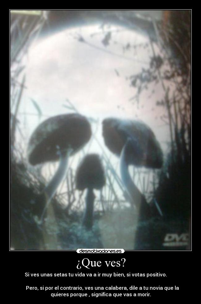 ¿Que ves? - Si ves unas setas tu vida va a ir muy bien, si votas positivo.
Pero, si por el contrario, ves una calabera, dile a tu novia que la
quieres porque , significa que vas a morir.
