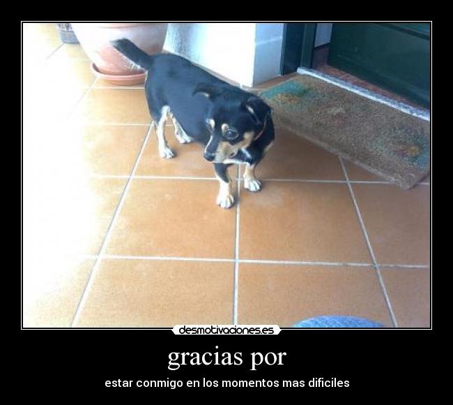 gracias por - estar conmigo en los momentos mas dificiles